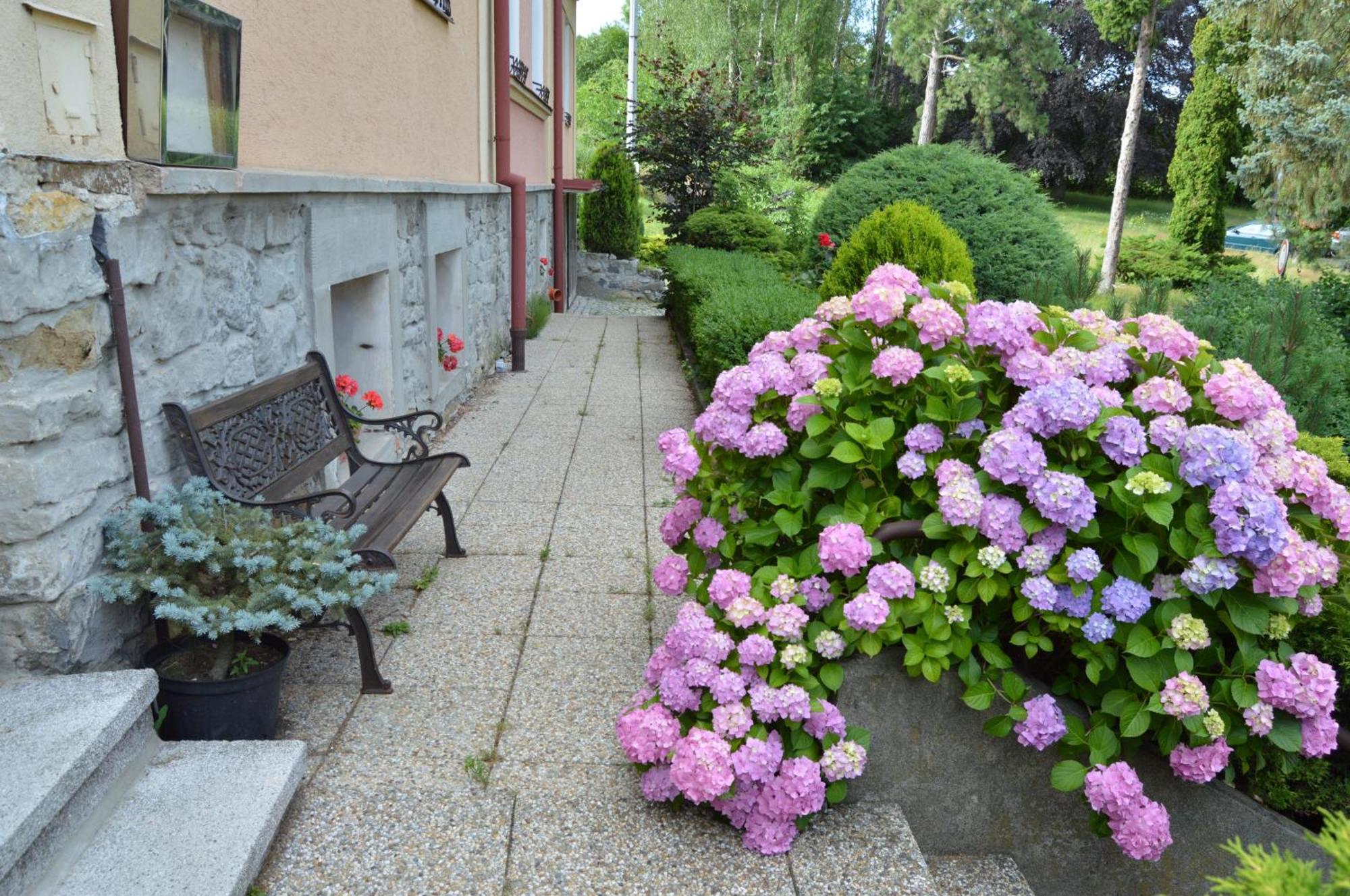 Penzion Ostravanka Hranice (Olomouc) Exterior foto
